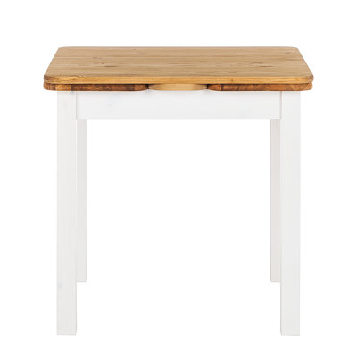 BASTIDE Dining Table (with Extension Leaves)