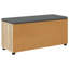 Storage Bench-1993808433