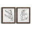 Sprig Contour I - ensemble de 2 reproductions d'art sur papier encadré-285995244-285995246