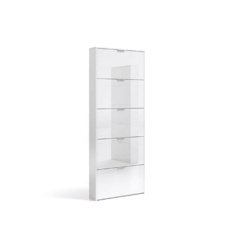 13 Pair Shoe Storage Cabinet