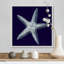 « Indigo shells IV » par vision studio-impression-538534986-538534989