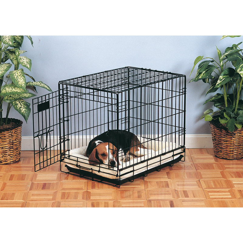 Tapis pour chien Roudebush, Moyen (l 29,75 po x P 18,75 po), Beige naturel
