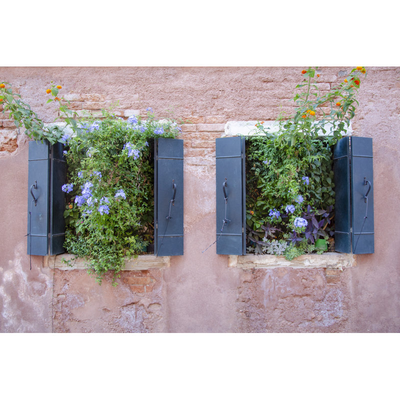 Fleurs de fenêtre italiennes II, H 24 po x l 36 po