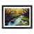 Black Framed selected