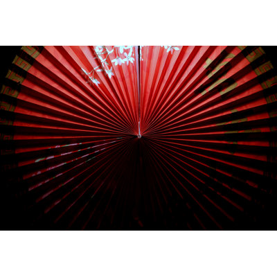 Chinese Fan by Matthuffield - Wrapped Canvas Print