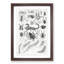Study of Insects XXXVIII by Oliver Goldsmith - Picture Frame Drawing Print-55730166-55730167