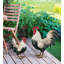 Statue de jardin en métal Verde Rooster-1645474842