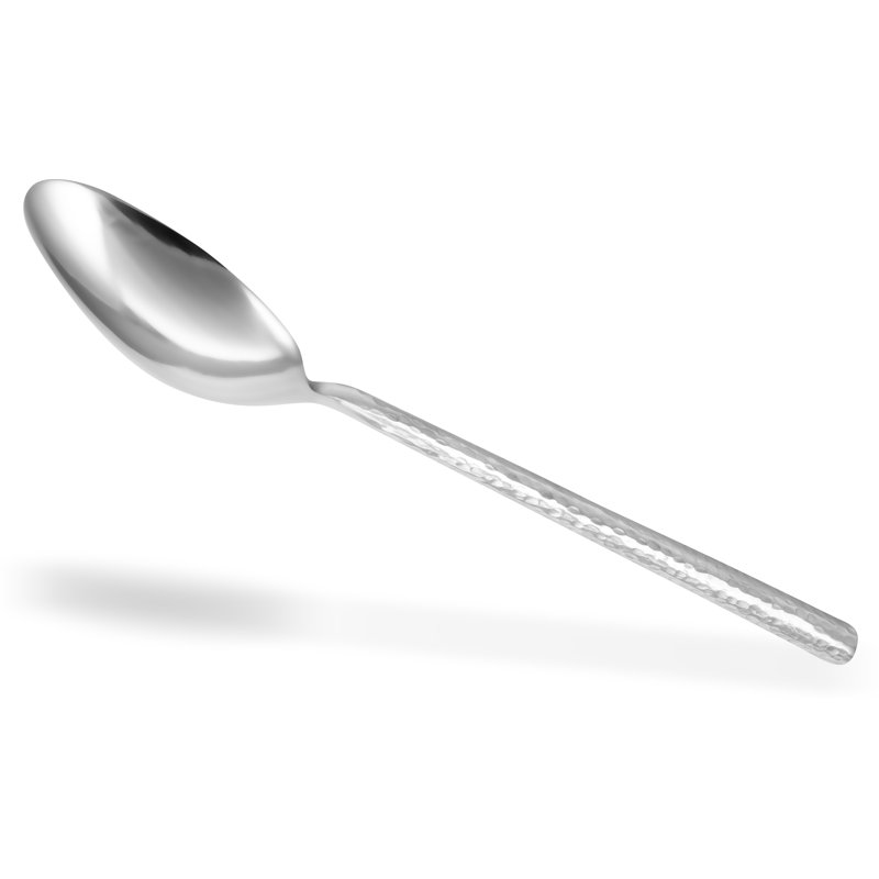 Stainless Steel Dinner Spoon, 9" L