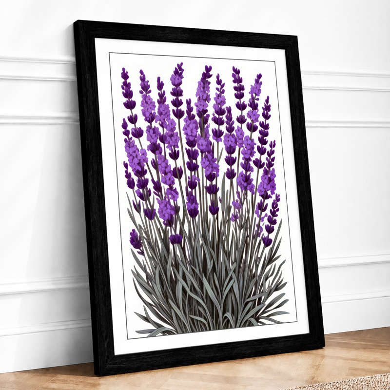 Lavender Study Botanical - Framed Print, A3 - 42.0 x 29.7 cm, Black