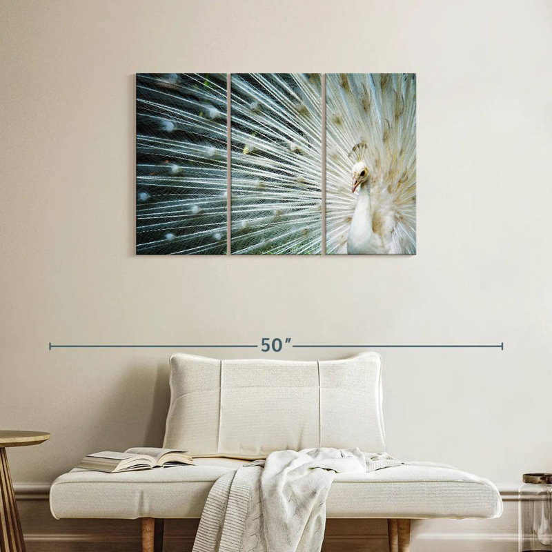 Brampt Icy White Peacock, 24" H x 38" W