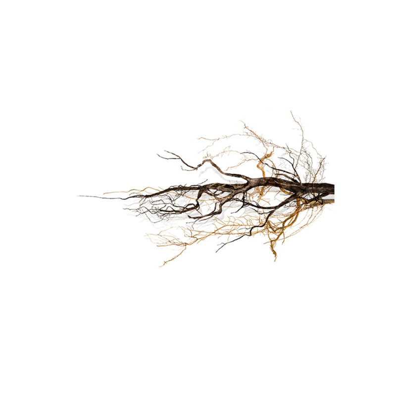Solitude II Print by James McAllen, Plexi, 40" H x 60" W x 1.5" D
