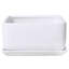 Pot Planter-1005249498