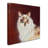 Pat Saunders " Capturing Eyes " by Pat Saunders-White-21651520