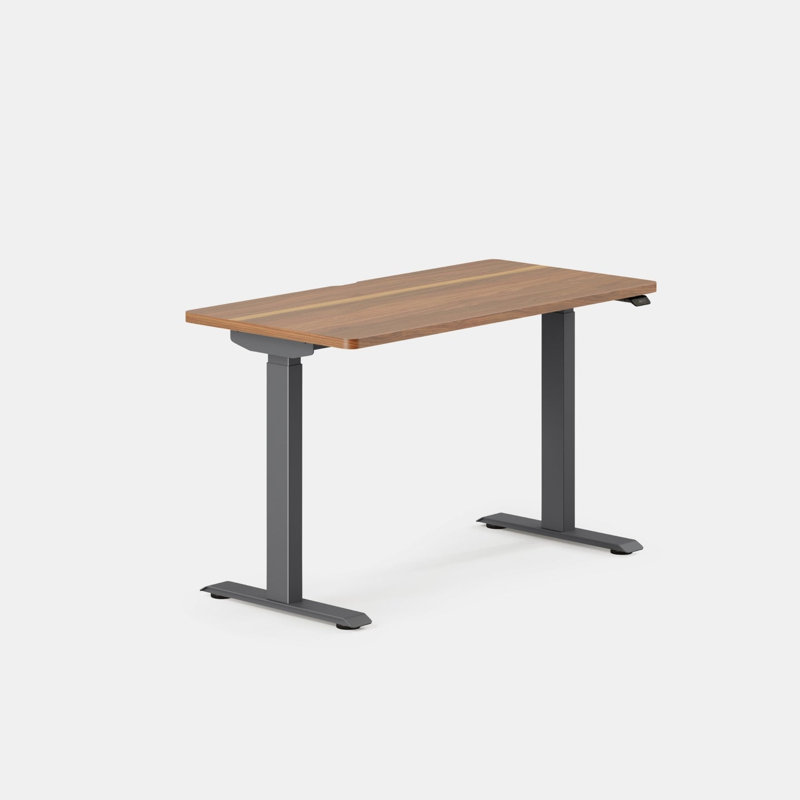 Duo Standing Desk, Walnut, Charcoal, 47.3" H x 48" W x 24" D
