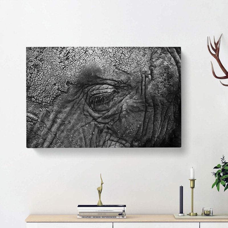 Elephant - Wrapped Canvas Print, 35cm H x 50cm W x 3cm D