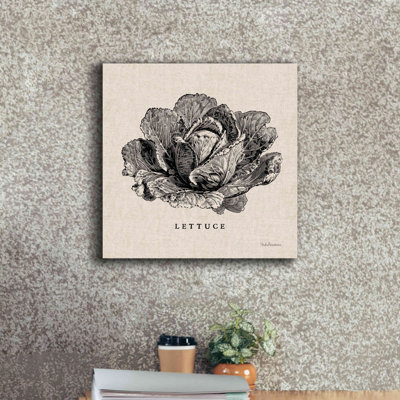 August Grove 'Burlap Vegetable BW Sketch Lettuce' By Studio Mousseau, Giclee Canvas Wall Art