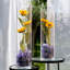 Ensemble de 6 vases en verre Colner-1860858814-1860858815