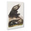 American Skunks - Wrapped Canvas-55368602