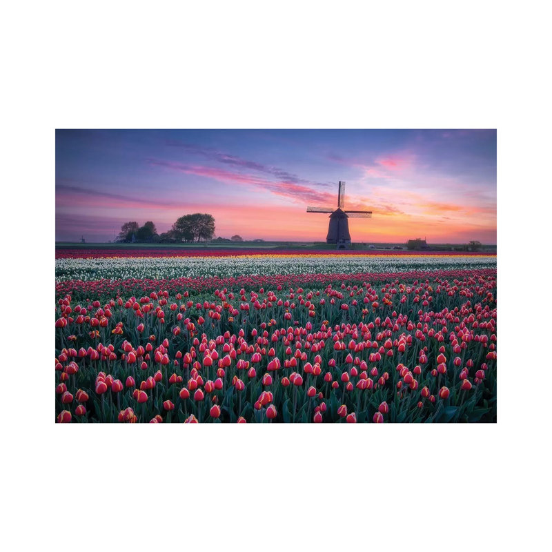 Windmill And Tulips by Dick Van Duijn - Print on Canvas, 20.32cm H x 30.48cm W x 1.91cm D, Wrapped Canvas