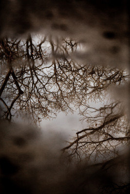 Wrapped Canvas Print, 76.2 cm H x 50.8 cm W