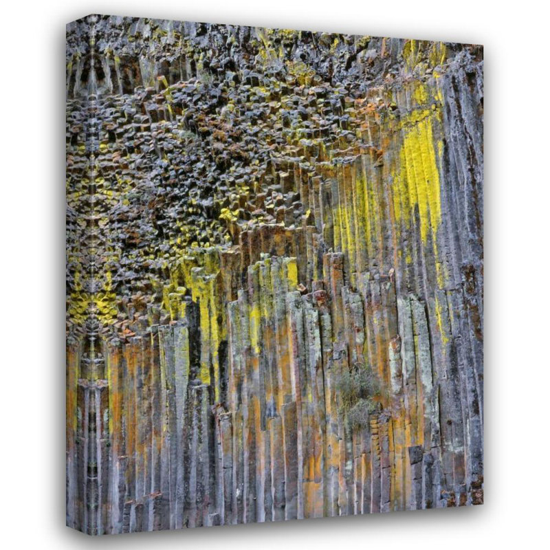 Millwood Pines Terrill, art sur toile tendue par Steve Gallery, OR, basalte colonne recouvert de lichen, H 24 po x l 19 po