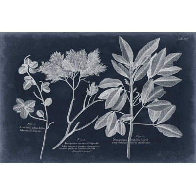 Foliage On Navy VI