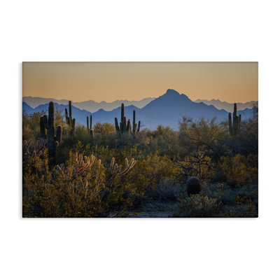 «Contrast Desertscape Scene», art mural sur toile par Marty Hulsebos