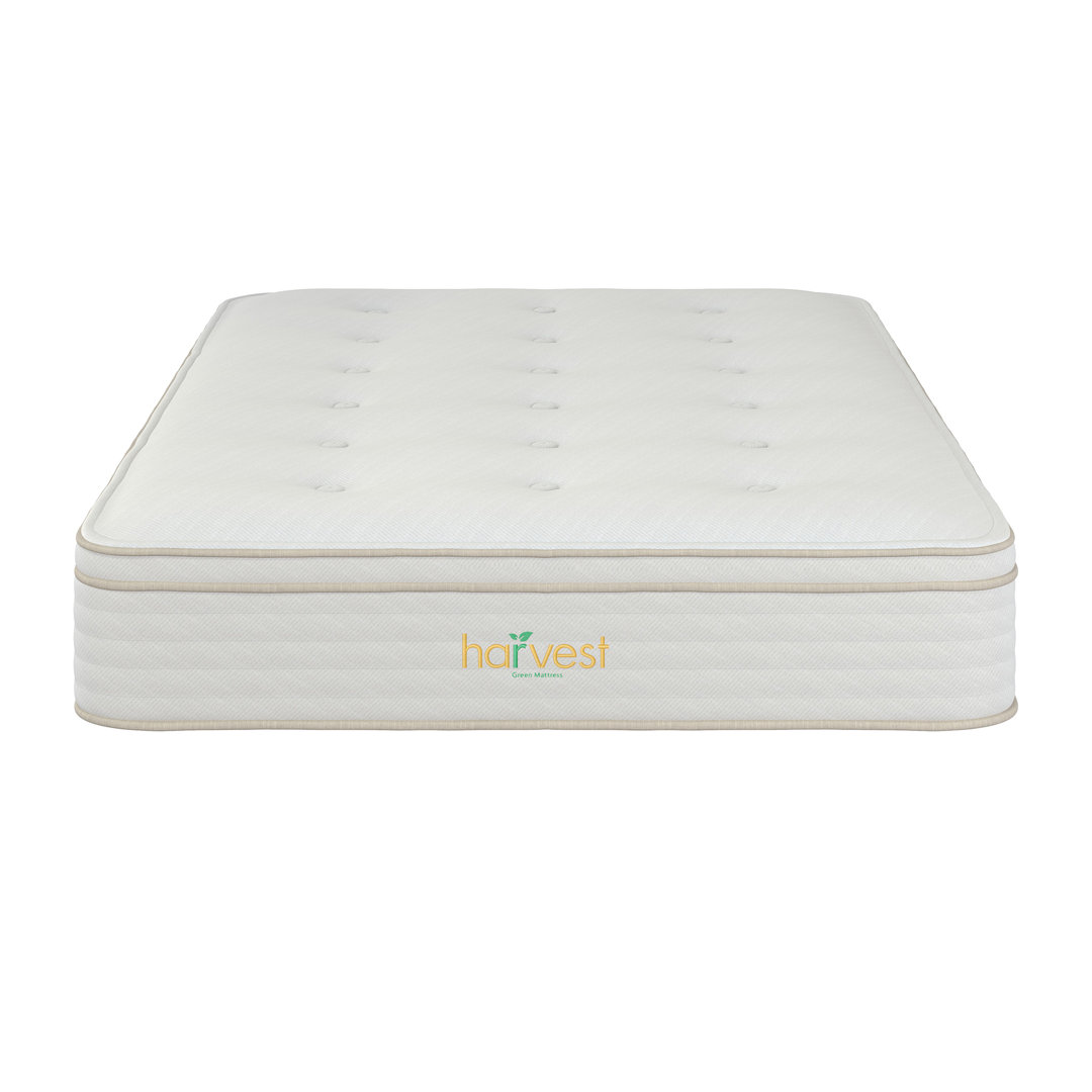 13'' Medium Mattress Harvest Green Mattress Mattress 