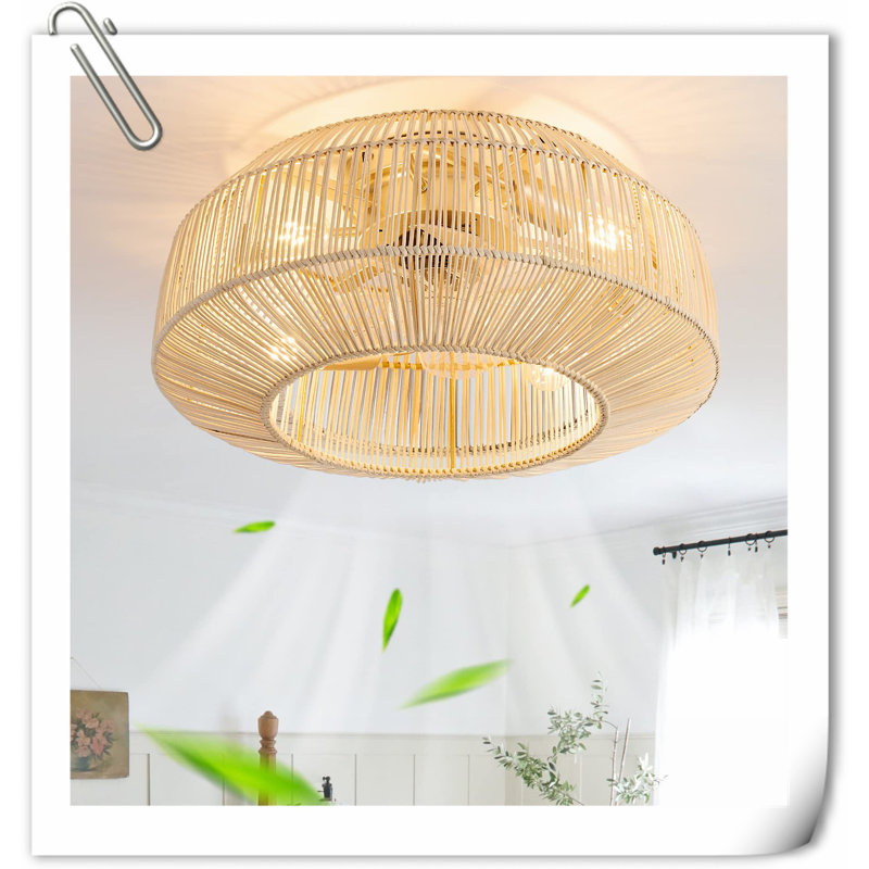 Museau Ceiling Fan with LED Lights