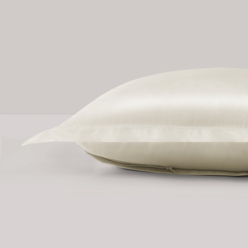 Yalda Euro Sham, Ivory