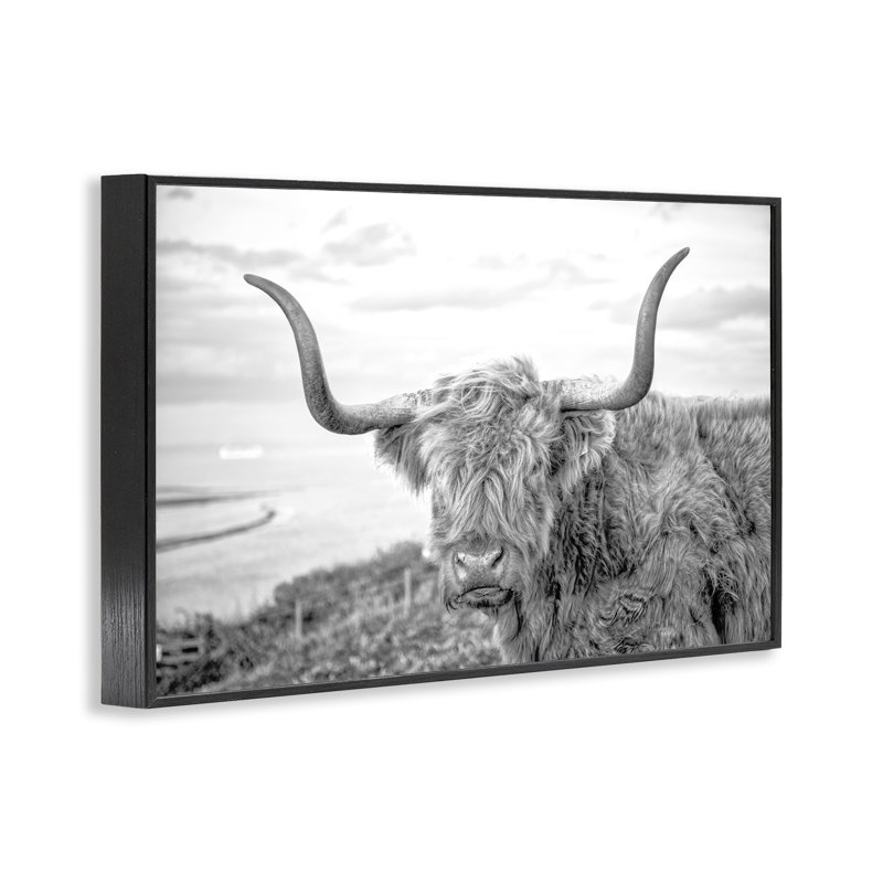 Art traditionnel de giclée encadrée par Jasper Huish, Giclée encadrée noir minuit, H 16 po x l 24 po