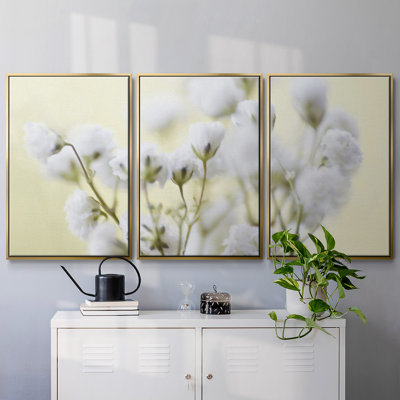" Baby's Breath Study IV " 3 - Pieces
