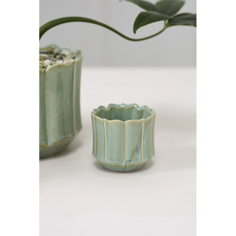Pot Everleaf 3- Petit