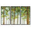 Étude de forêt verte - ensemble d'art mural sur toile traditionnel encadré de 3-72043243-72044376