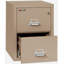 Fireproof 2 - Drawer File Cabinet-3079048