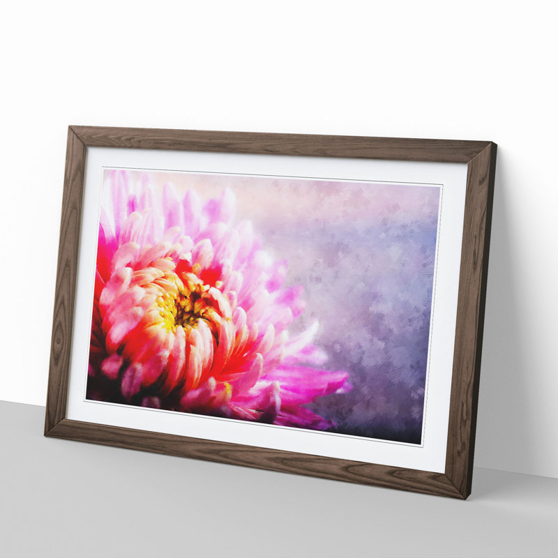 Pink Chrysanthemum Flower - Framed Print, Walnut Framed, 27cm H x 36cm W x 2cm D