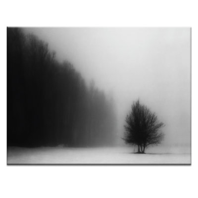 Print on Canvas