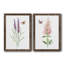 «Wildflower Botanical I», ensemble de 2 reproductions d'art-808463890-923653539-923653541