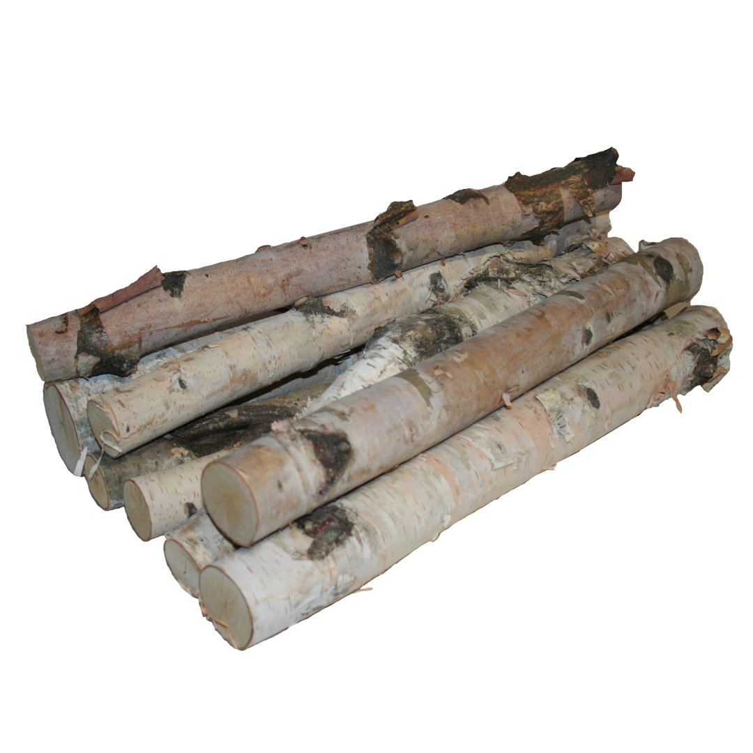 Wilson Decorative White Birch Log Bundle, Natural Bark Wood Home Décor Loon Peak®