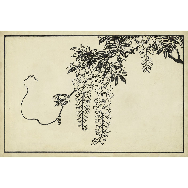 Japanese Wisteria I A - Wrapped Canvas Painting, 30cm H x 46cm W x 3.8cm D