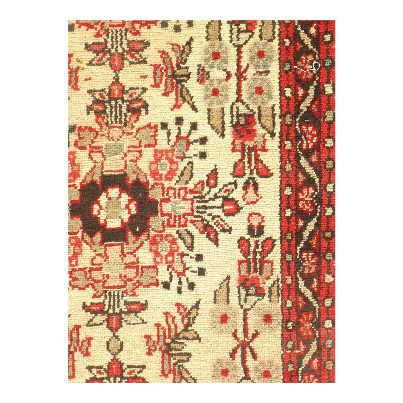 Kutana Wool Oriental Area Rug in Ivory