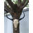 Maryona Bone-Inspired Bull Head Hanging Ornament in Resin Craft-109841987
