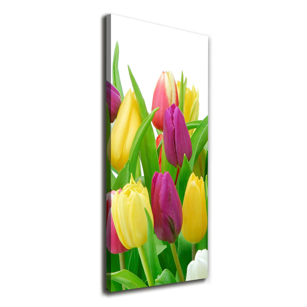 Bunte Tulpen - Kunstdrucke auf Leinwand