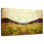 Alvord Napa Vineyard Landscape