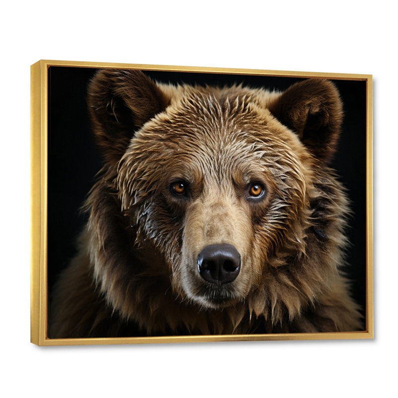 «Bear Portrait - Bear», reproduction d'art sur toile encadrée, Doré, H 16 po x l 32 po, Reproduction avec cadre flottant