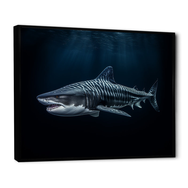 " Tiger Shark Territory II ", Black Floater Framed, 30" H x 40" W x 1.5" D