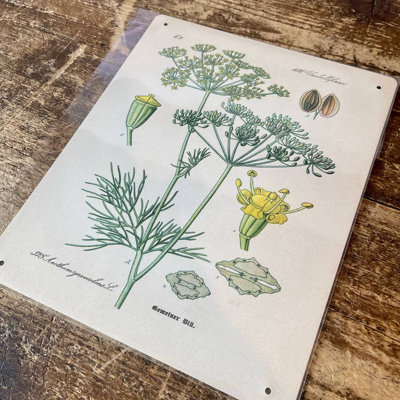 Plants & Flowers Wall Decor on Metal