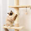 Tour pour chat interactive à 5 niveaux-1539945278