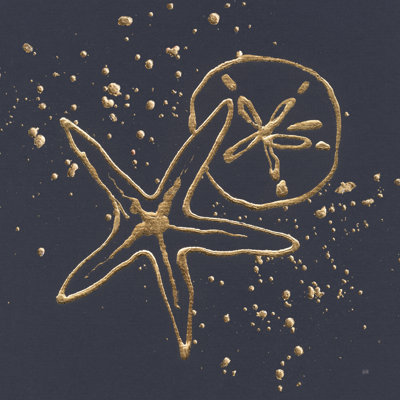 Gold Sand Dollar Starfish by Chris Paschke - Wrapped Canvas Painting