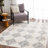 Kelleyann Oriental Indoor Rug-1723070965